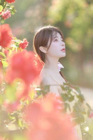 狗狗干了我一小时