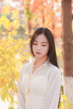 试看60分钟电视剧大全