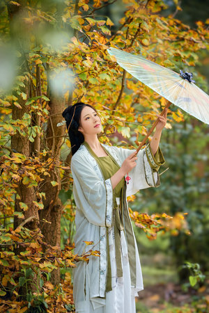 三十天金银花露