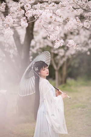 小龙鼠个人资料